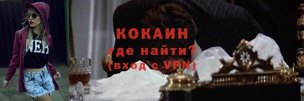 мдпв Козловка