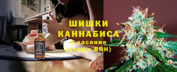 таблы Козельск