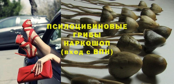 apvp Корсаков