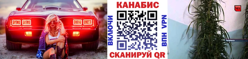 Шишки марихуана семена Макушино